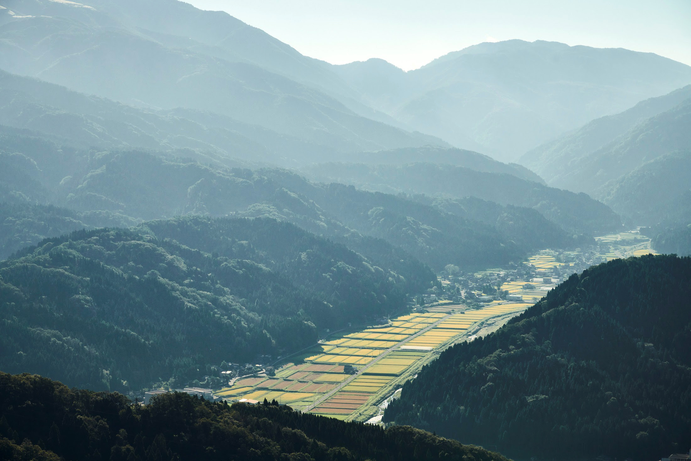 池田米背景1